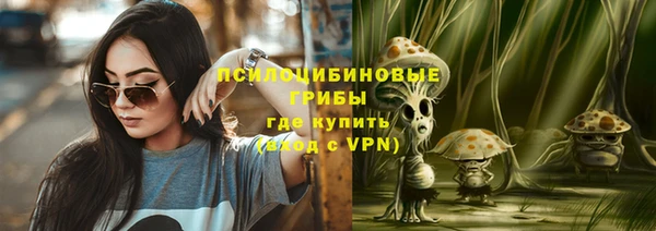 PSILOCYBIN Верхний Тагил